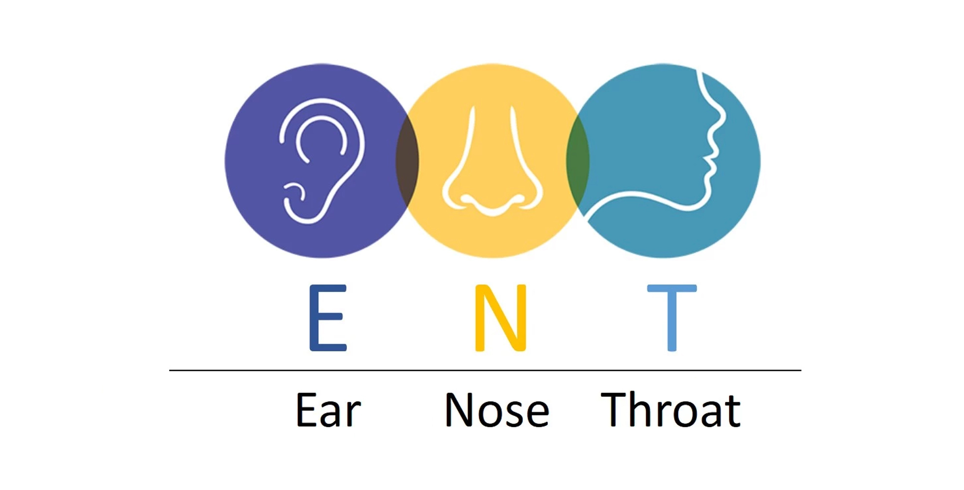 Ear, Nose, Throat